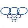 Mighty Seal Ring Set