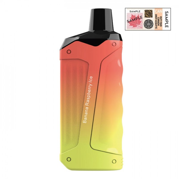 Vapmod 8K 8000 puff Rechargeable Disposable ...